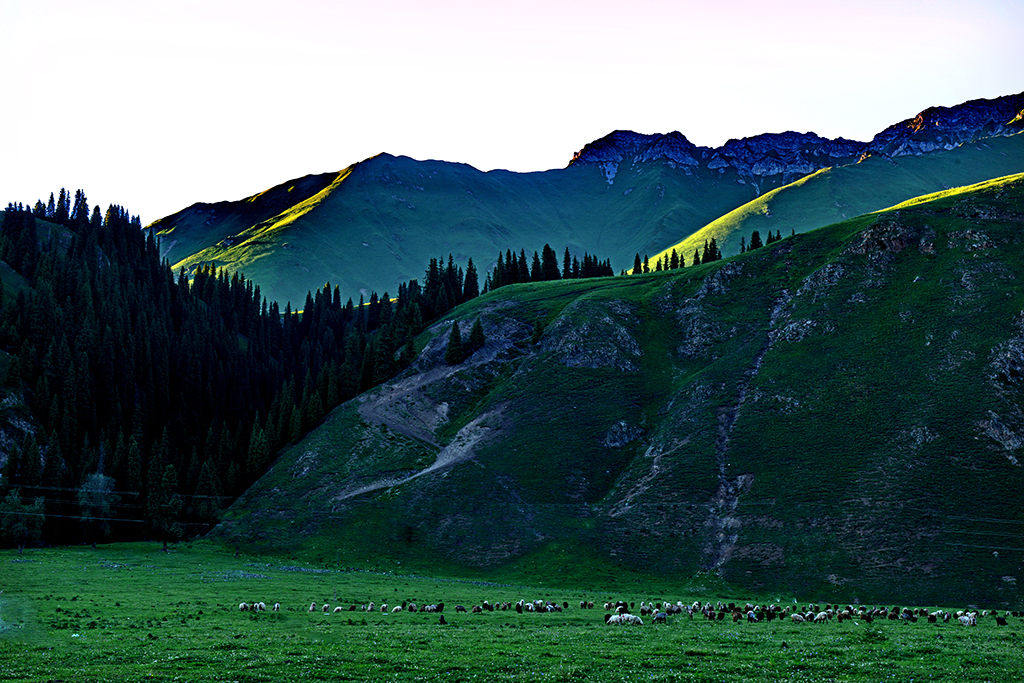 DSC_4975-1.jpg