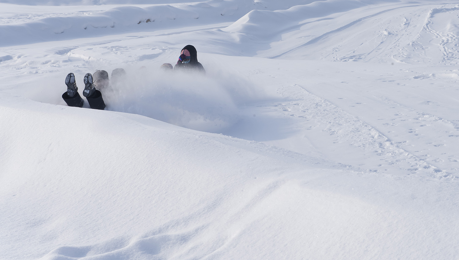_DSC6975.JPG