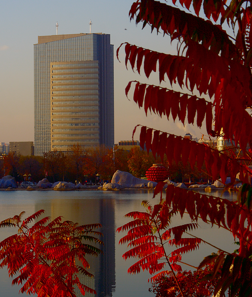 IMG_7546.jpg