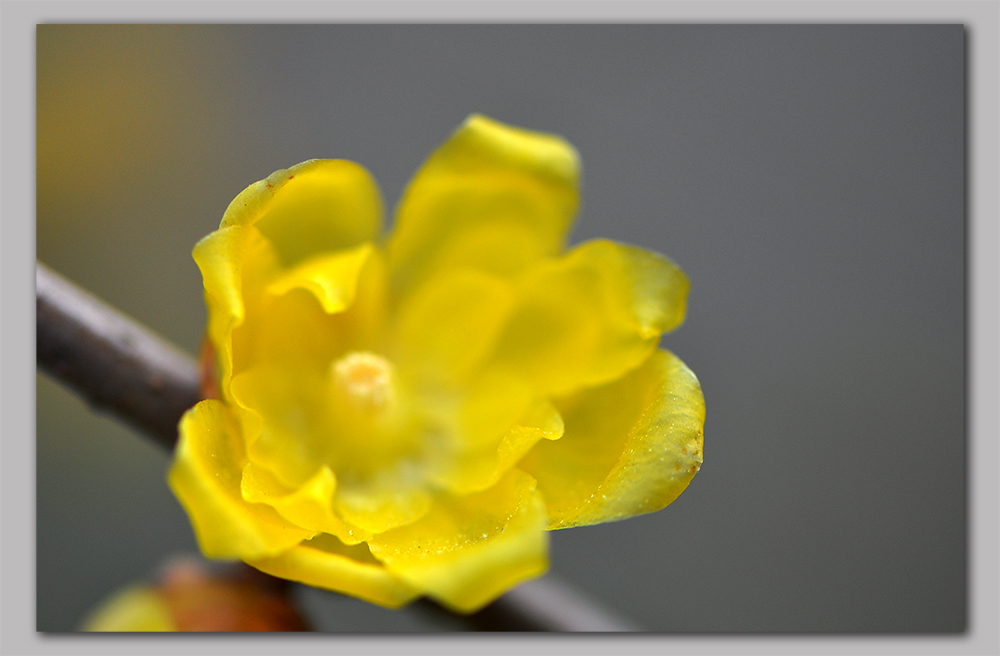 DSC_0182.JPG