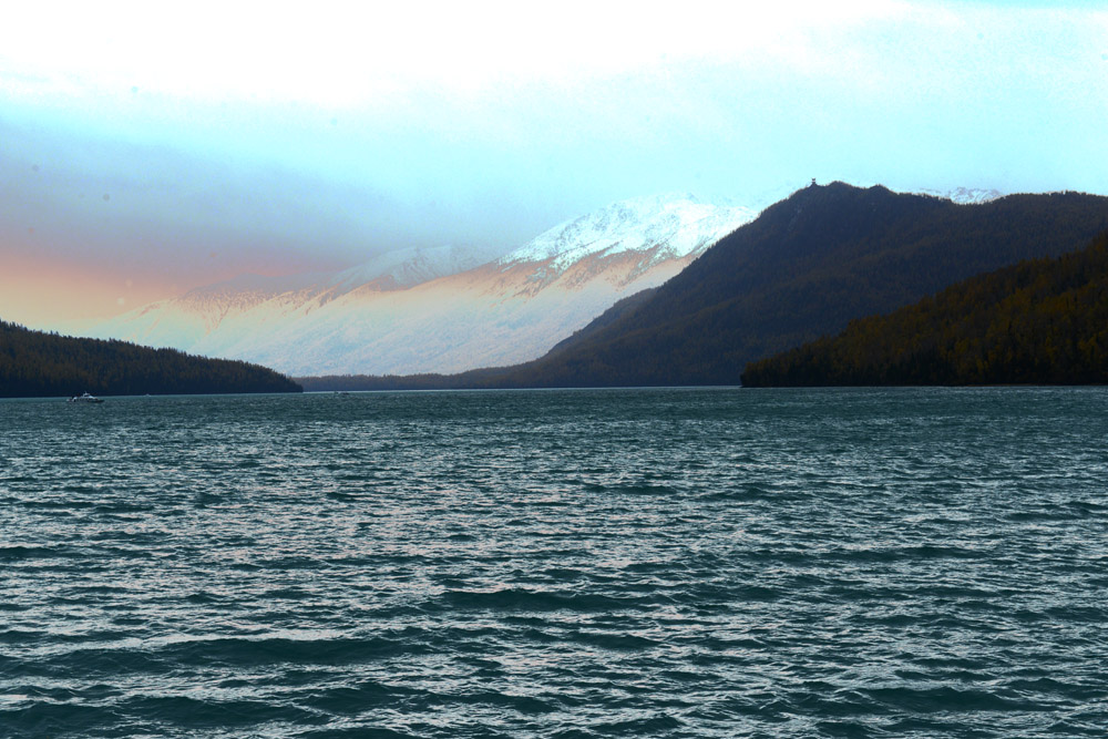 DSC_0834.jpg