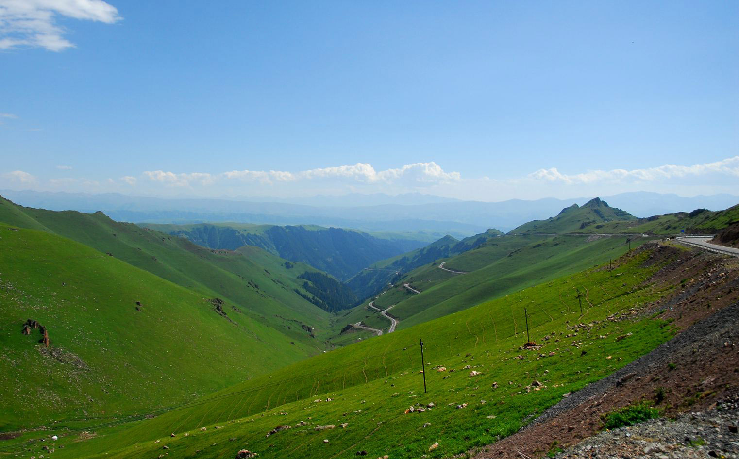 DSC_0171_ .jpg