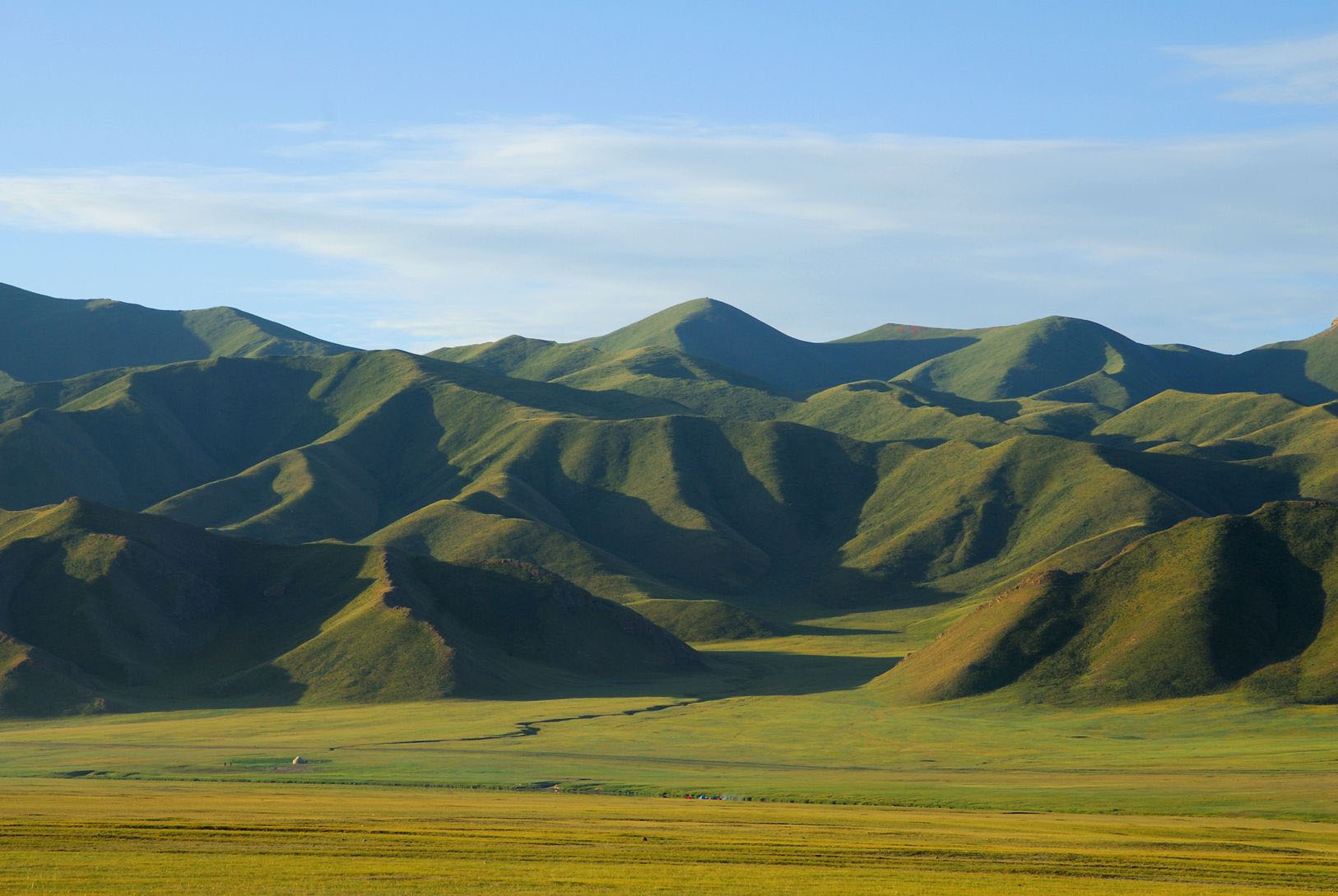 DSC_0384_ .jpg