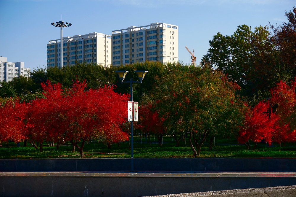 DSC009701.jpg