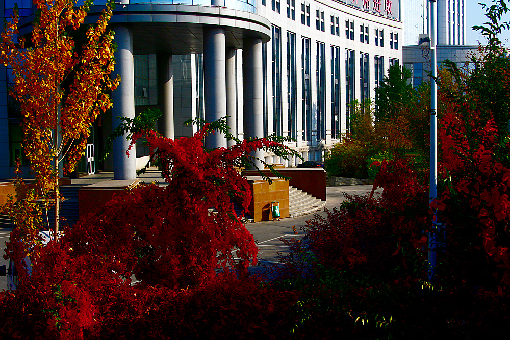 Ƭ 038.jpg