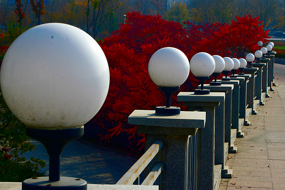 Ƭ 047.jpg