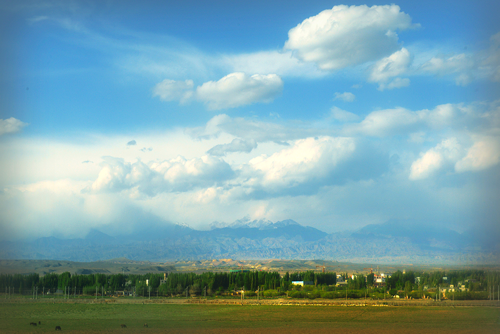 DSC_0199.JPG