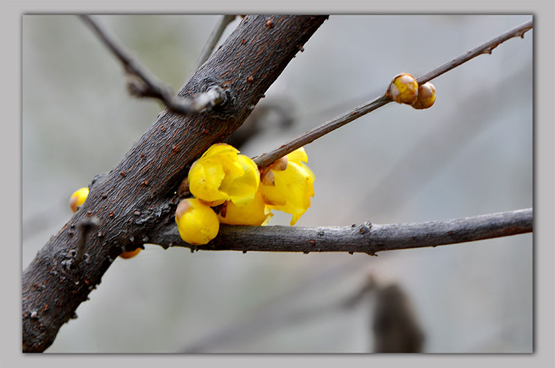 DSC_0184.JPG