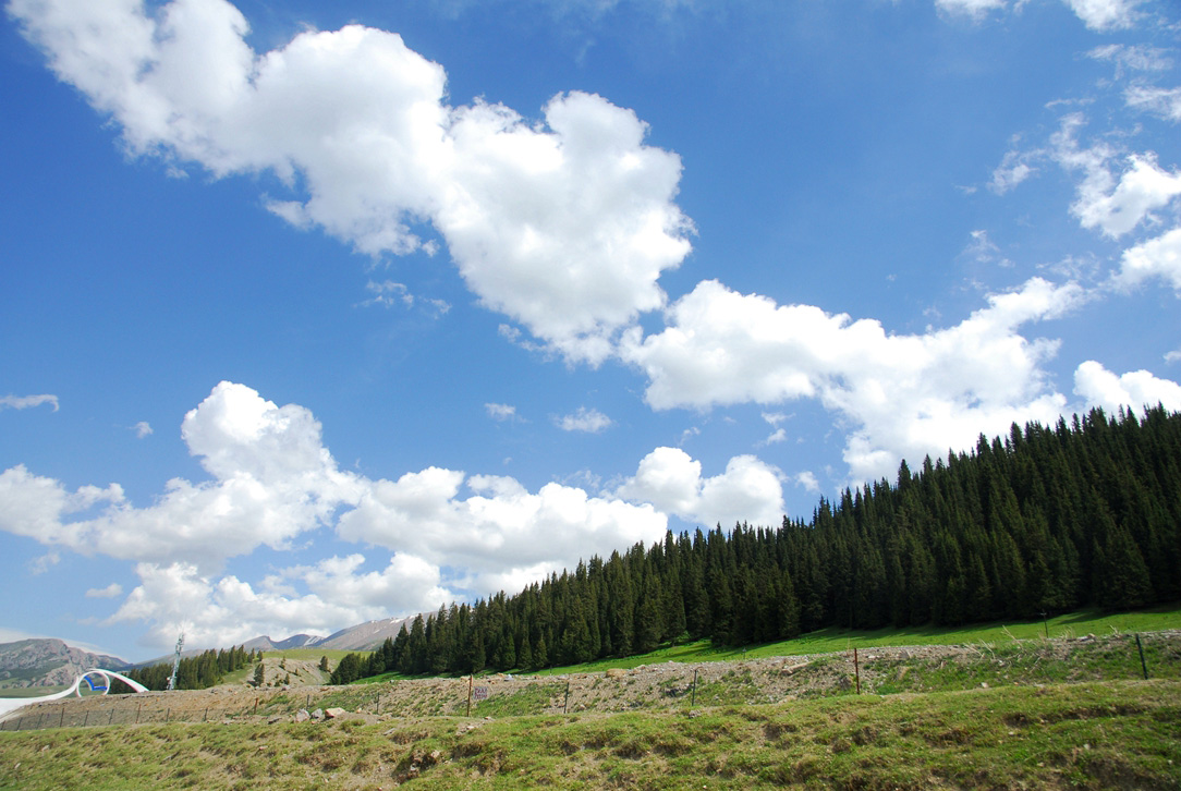 DSC_0353__300.jpg
