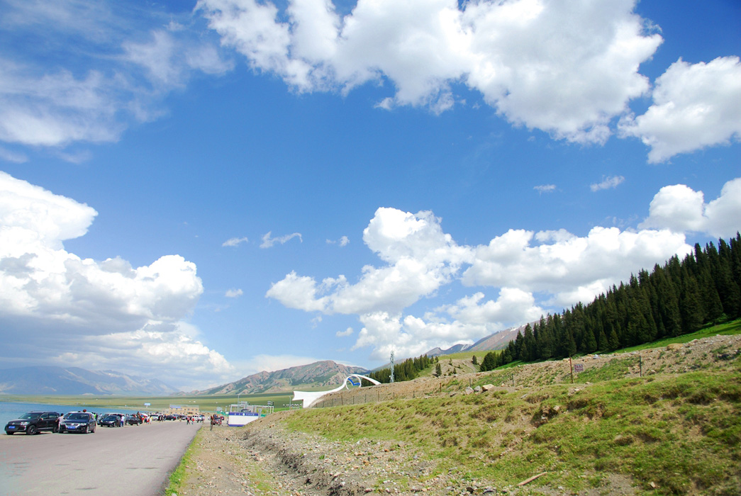 DSC_0354__300.jpg