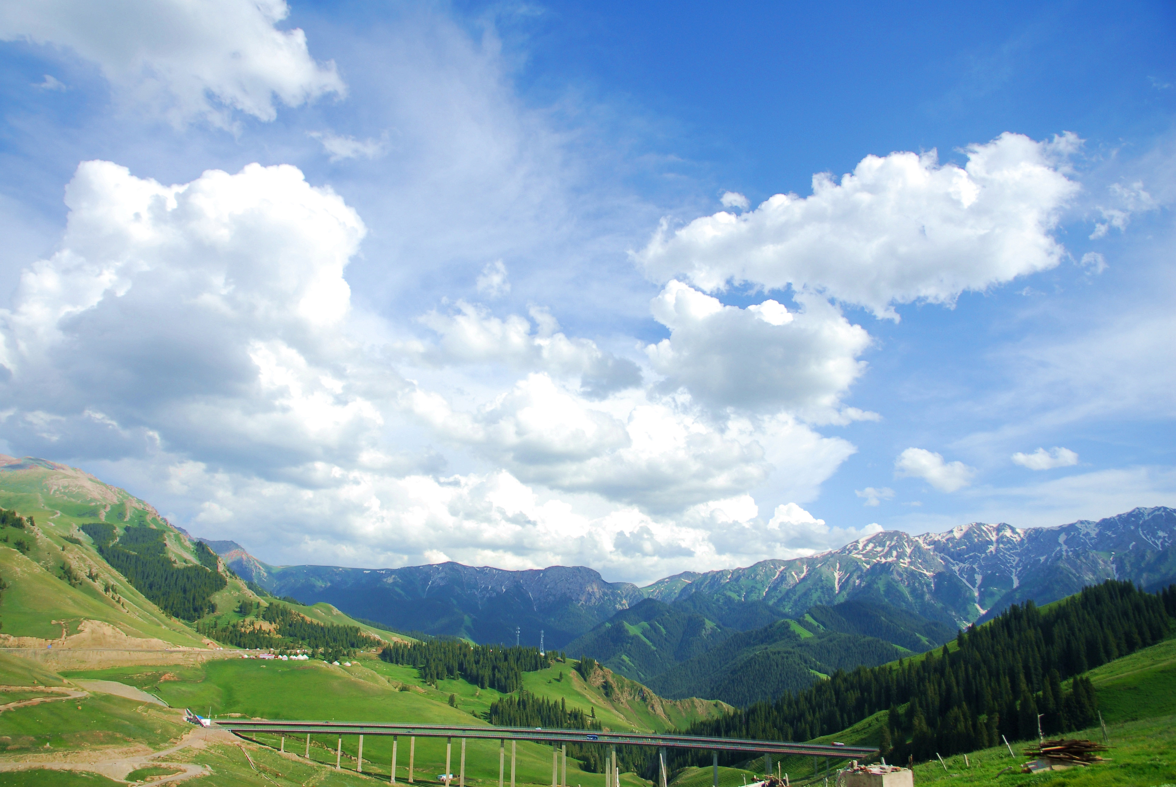 DSC_0680_2000.jpg