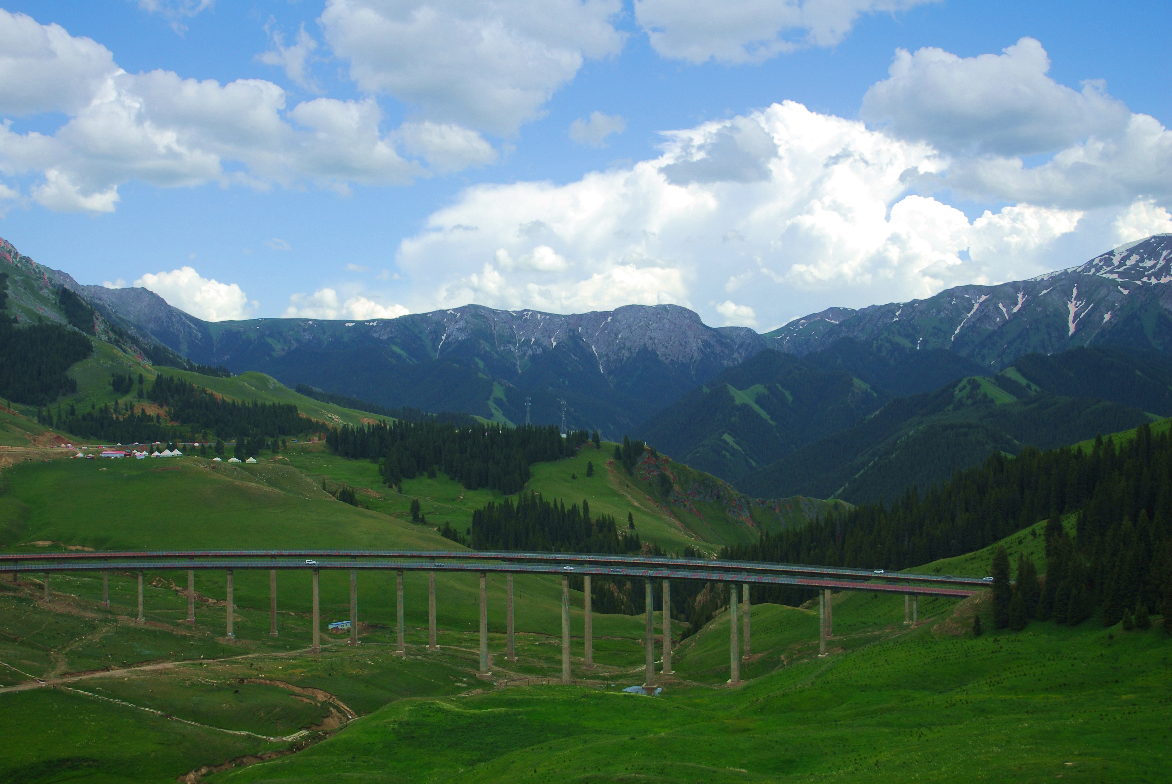 DSC_0393_2000.jpg