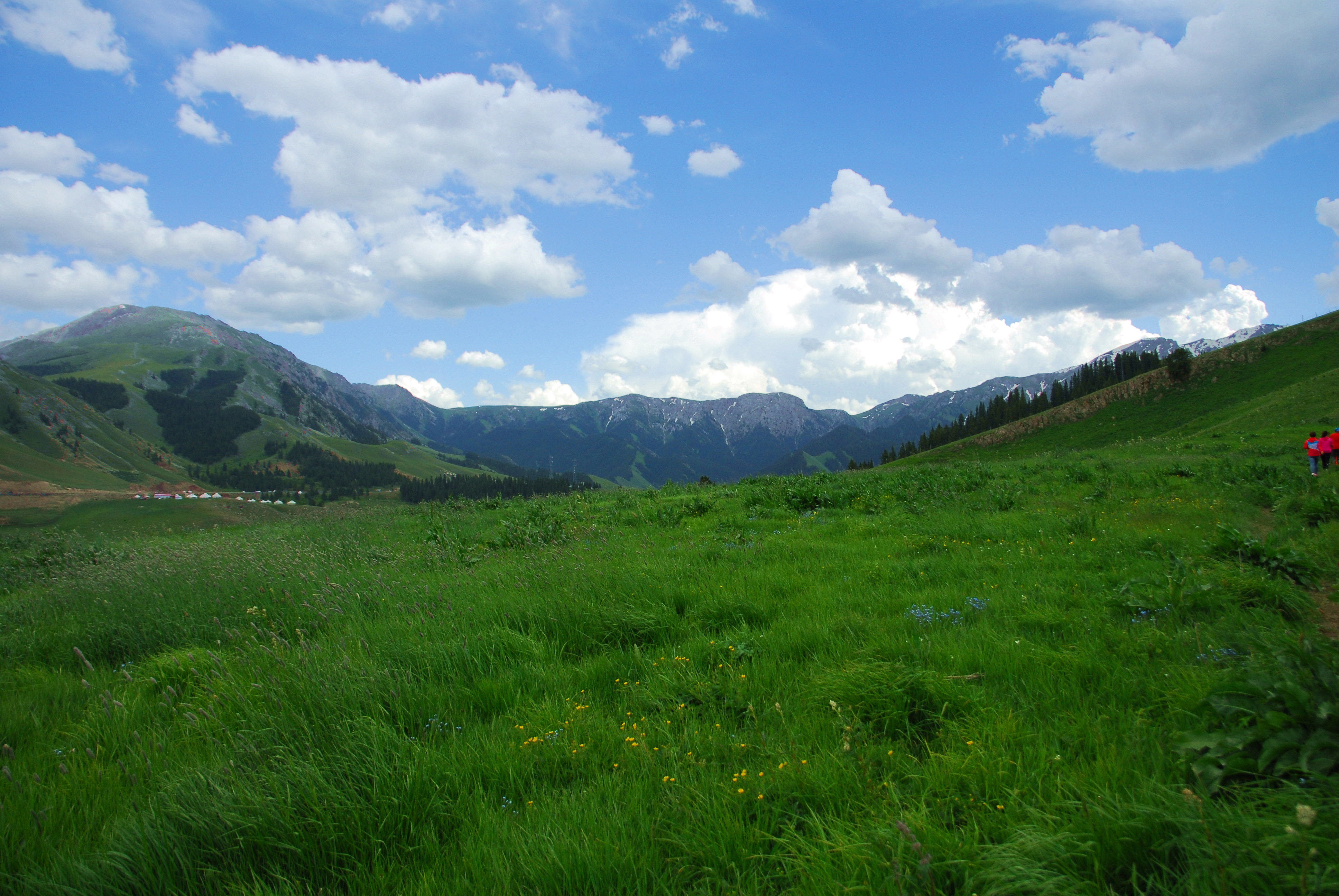 DSC_0399_2000.jpg
