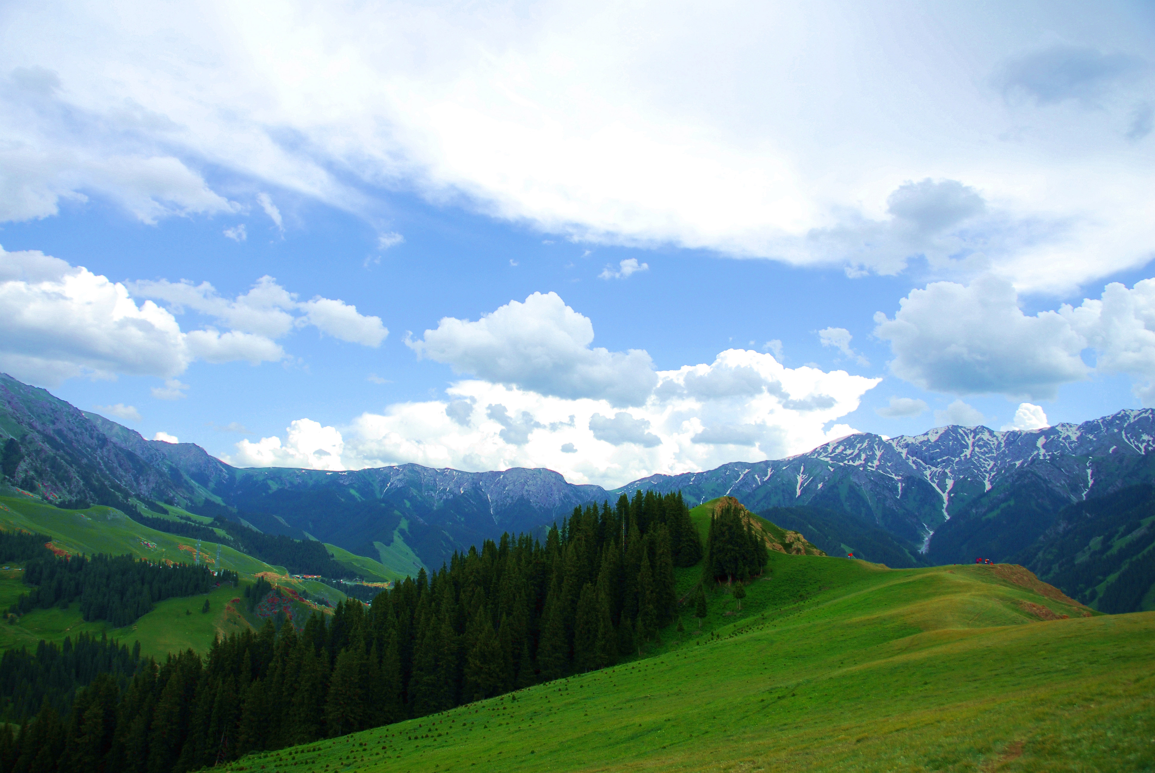 DSC_0425__2000.jpg