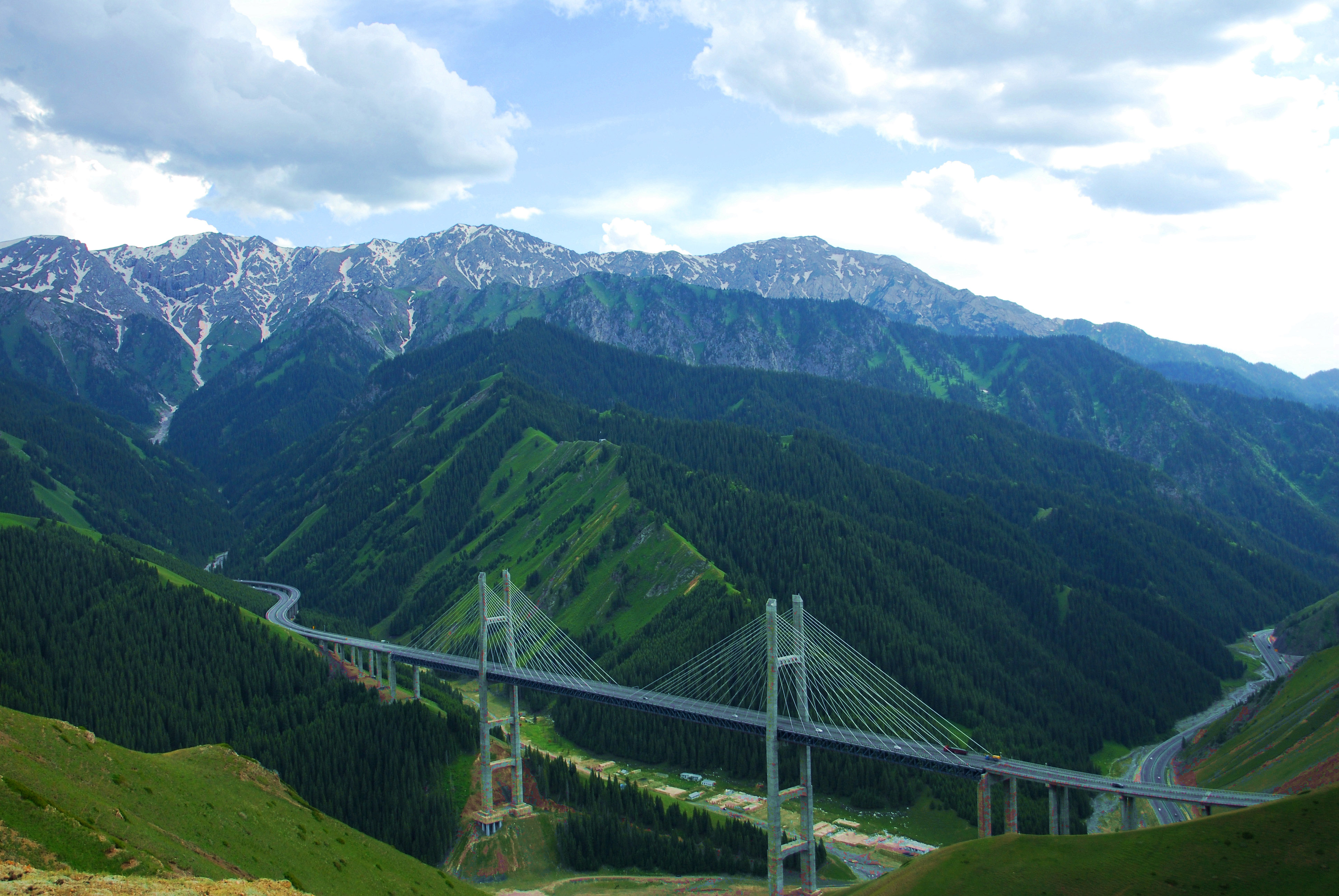 DSC_0462_2000.jpg