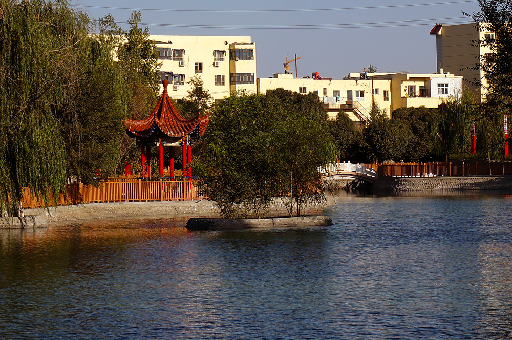 DSC00744.jpg