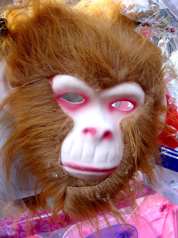 DSC06516_.jpg