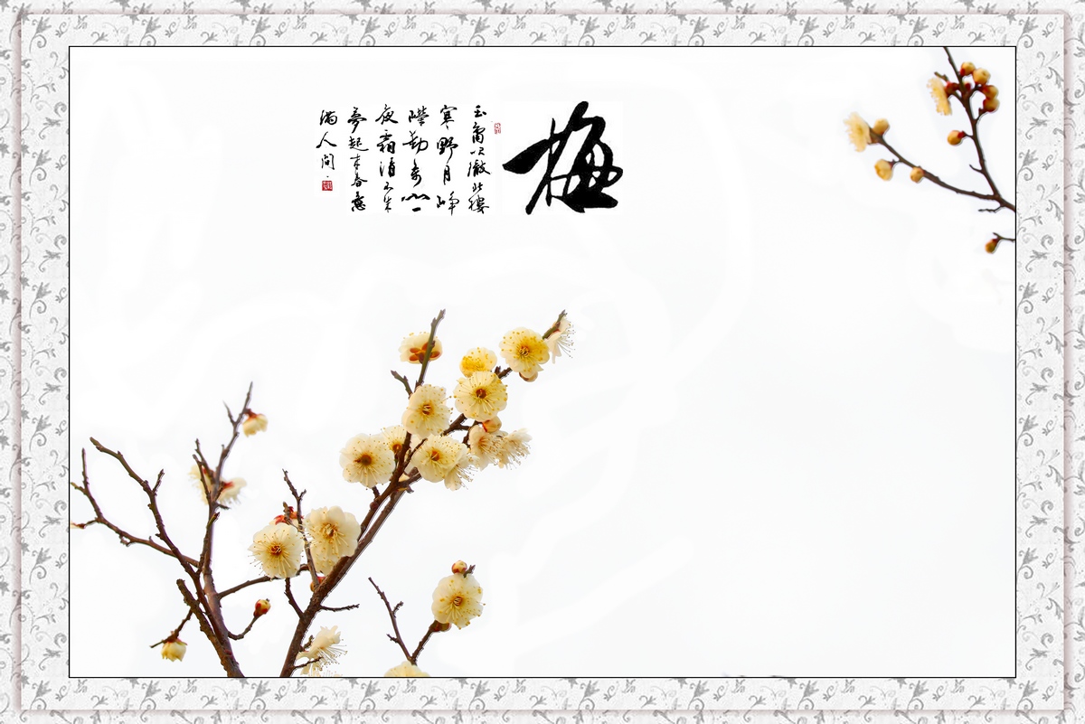 7Q3A3844-3.jpg