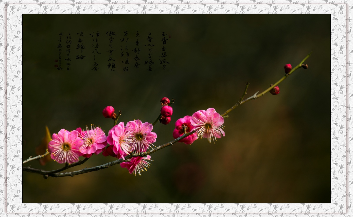 7Q3A3537-3.jpg