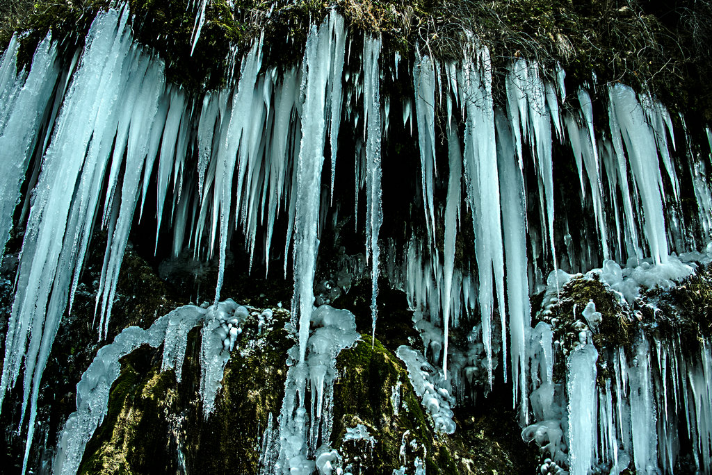 DSC_0089.jpg