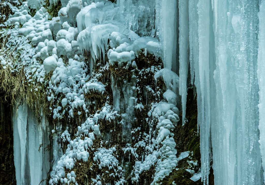 DSC_0137.jpg