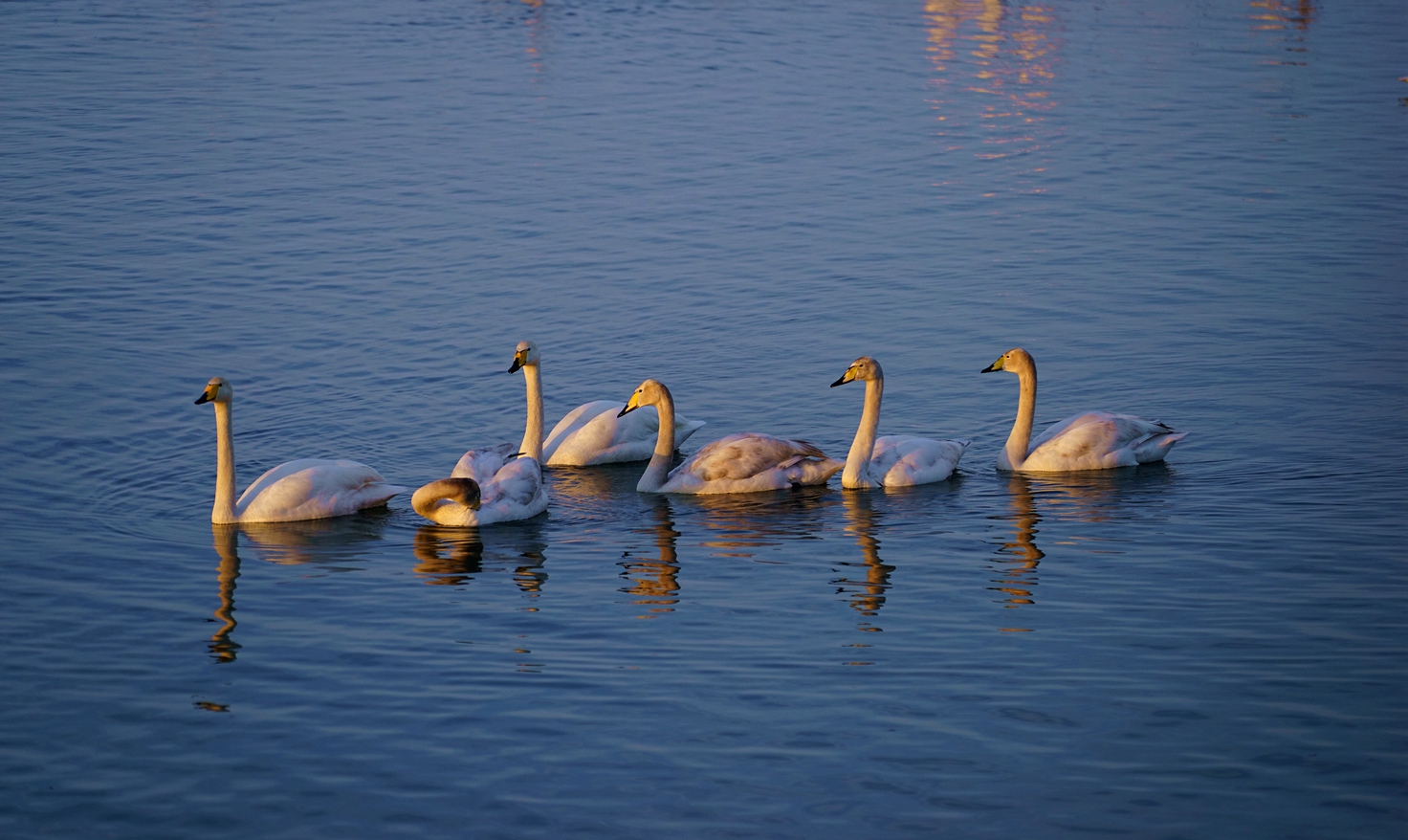 DSC07585__.jpg