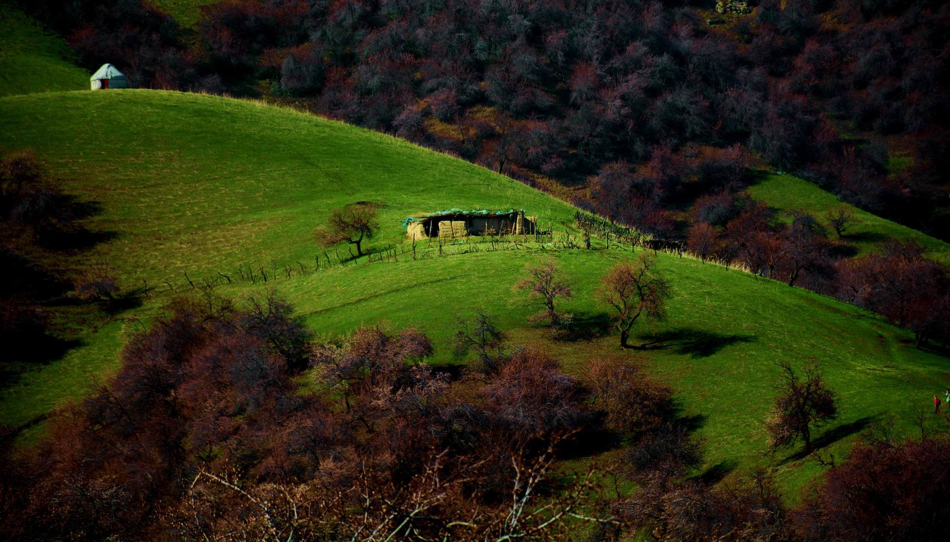 С DSC_8904_.jpg