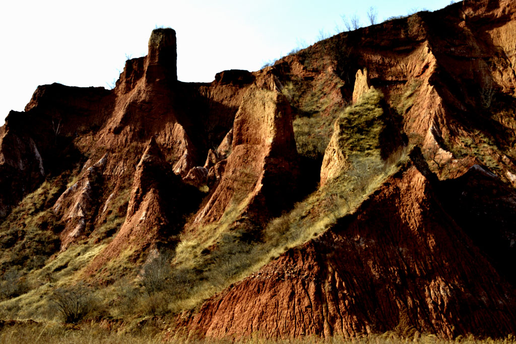 _DSC2886.jpg