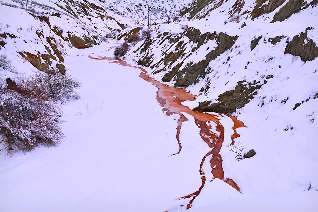 DSC_3570.JPG