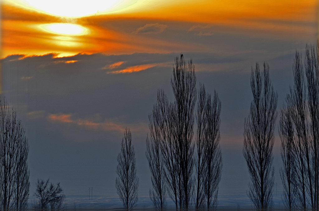 DSC_6317.JPG