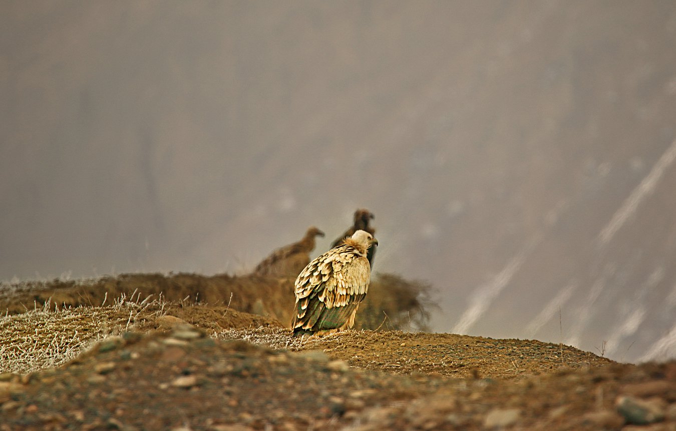 DP25174.jpg