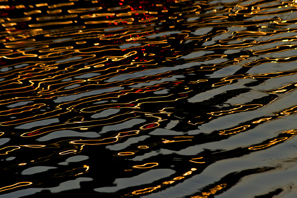 DSC_5607.JPG