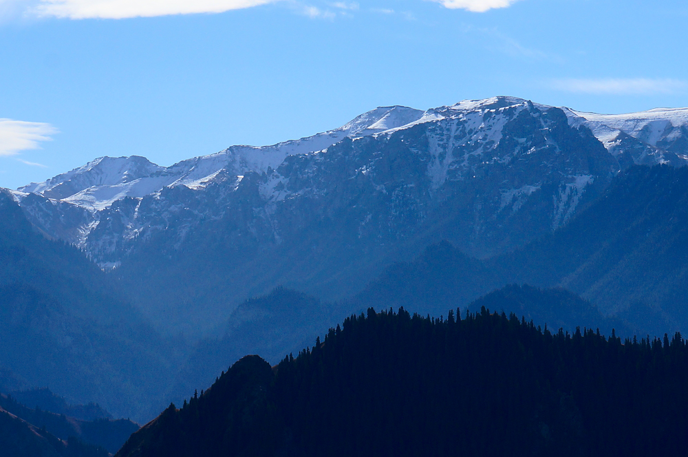 DSC01186.jpg