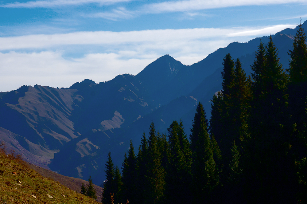 DSC01201.jpg