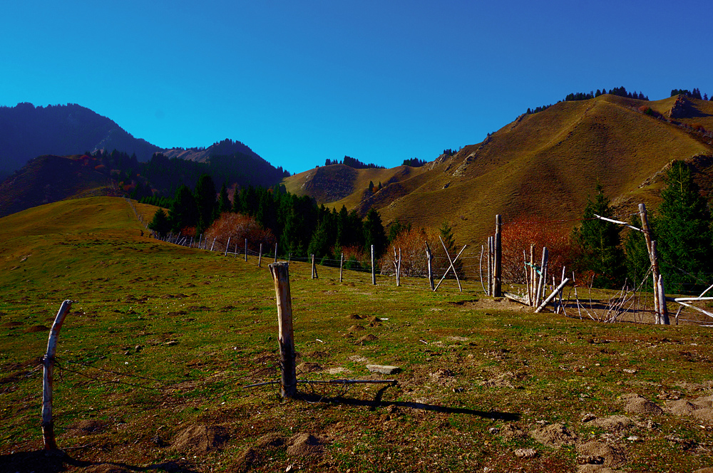DSC01205.jpg