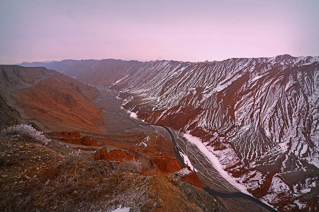 DSC_3699.JPG