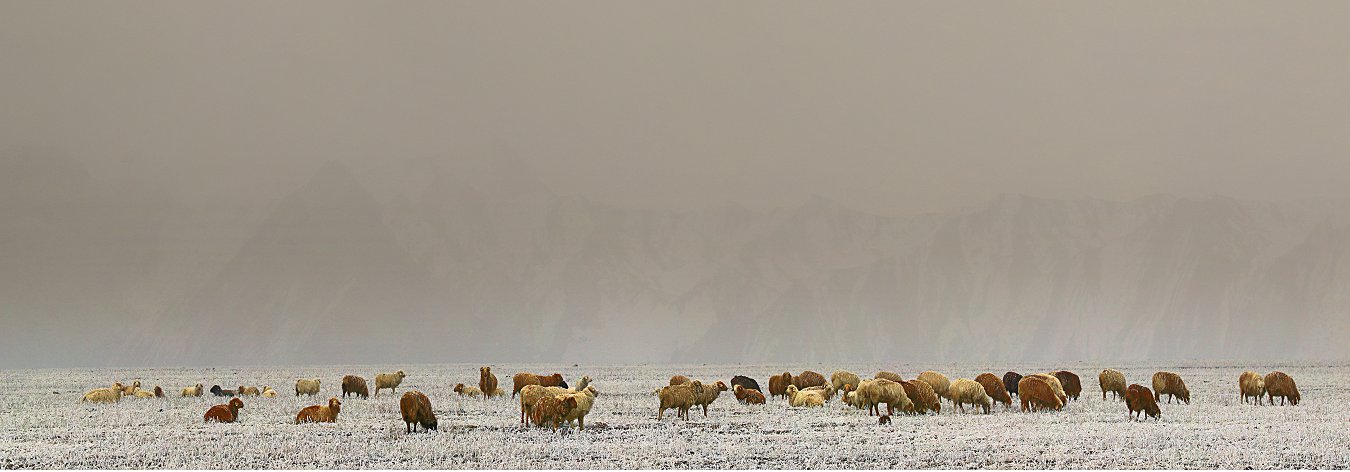 D25099 Panorama.jpg