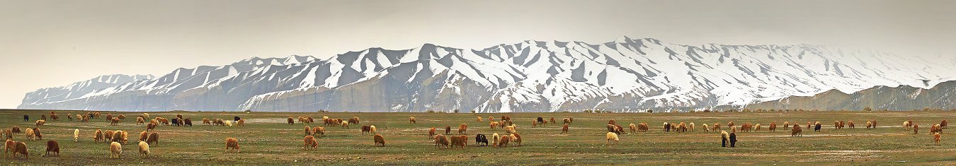 D25334 Panorama.jpg