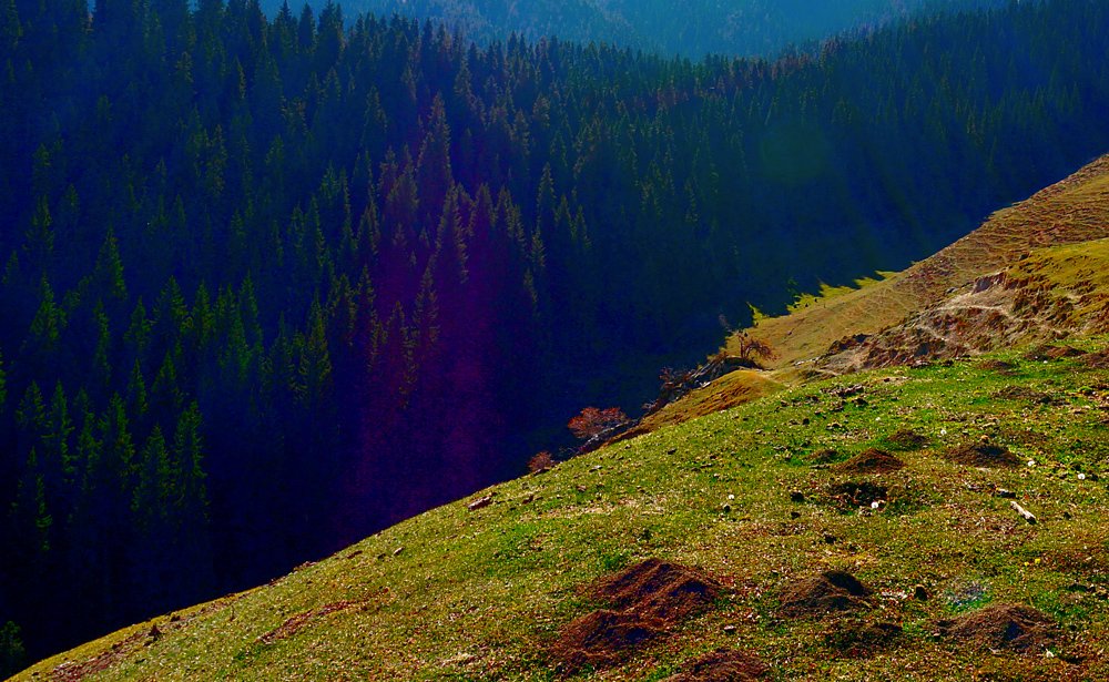 DSC01215.jpg