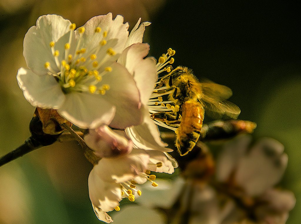 DSC_5475.jpg