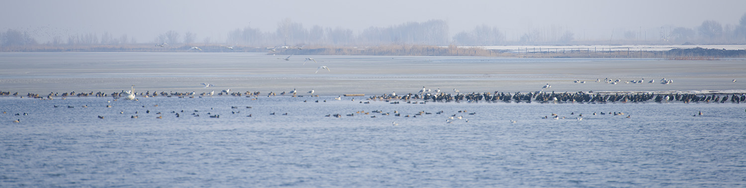 _DSC9979.JPG