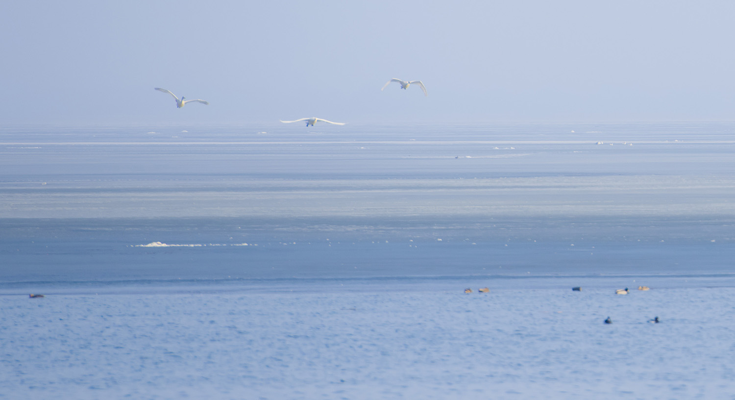 _DSC9997.JPG