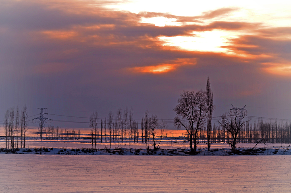 DSC_6487.JPG
