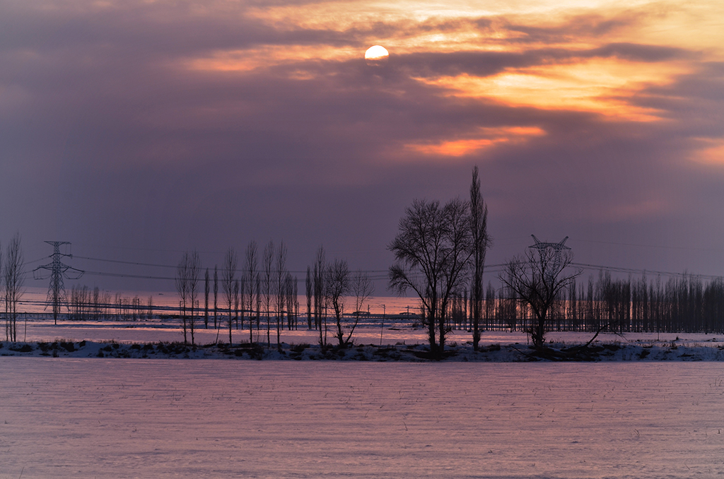 DSC_6492.JPG