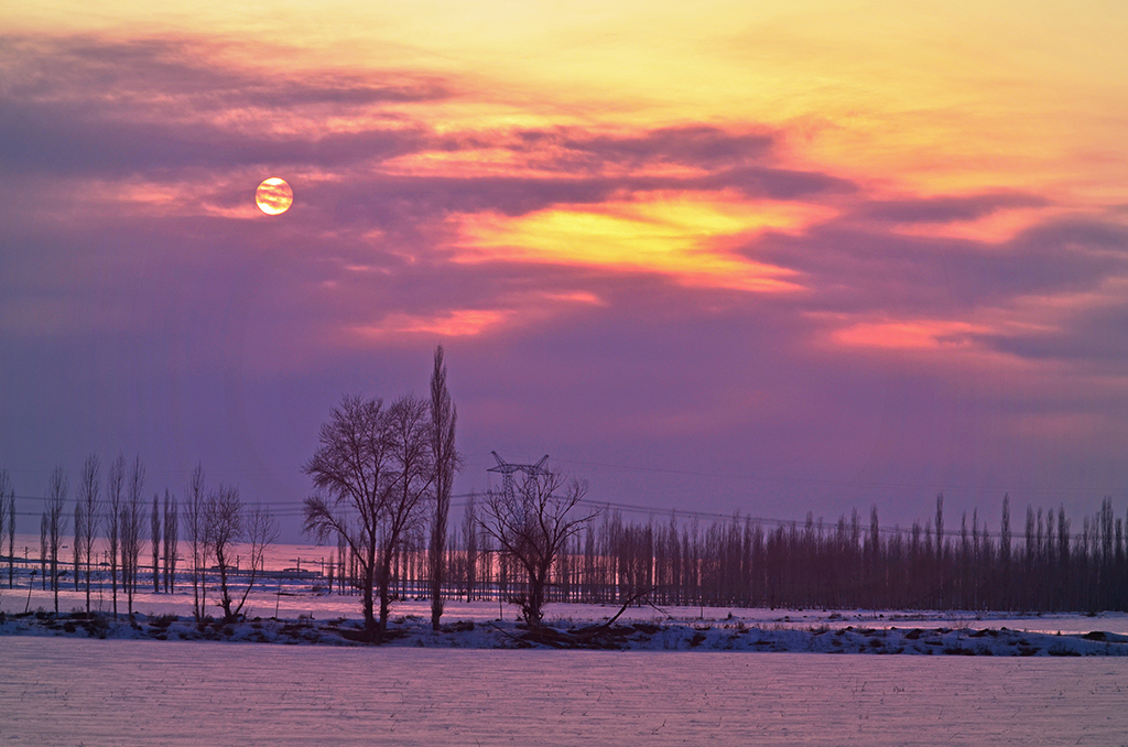 DSC_6496.JPG