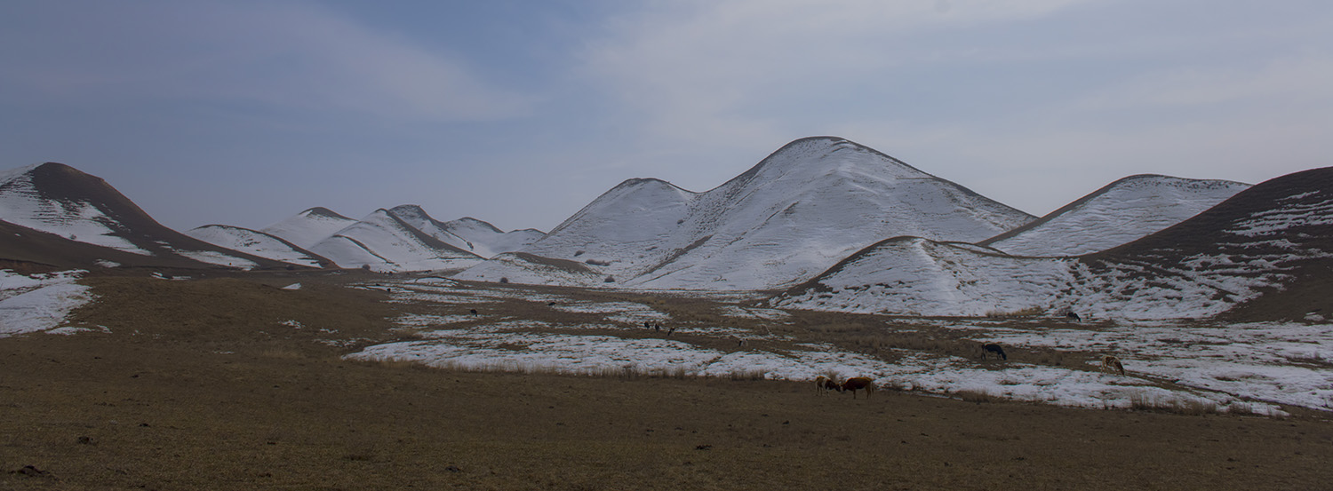 _DSC0372.JPG