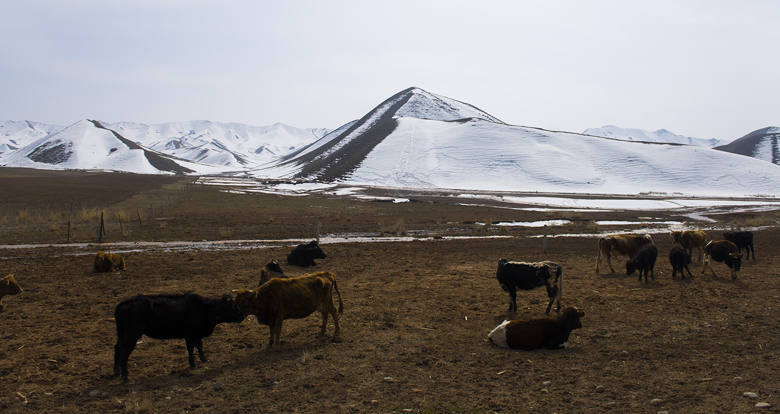 _DSC0391.JPG