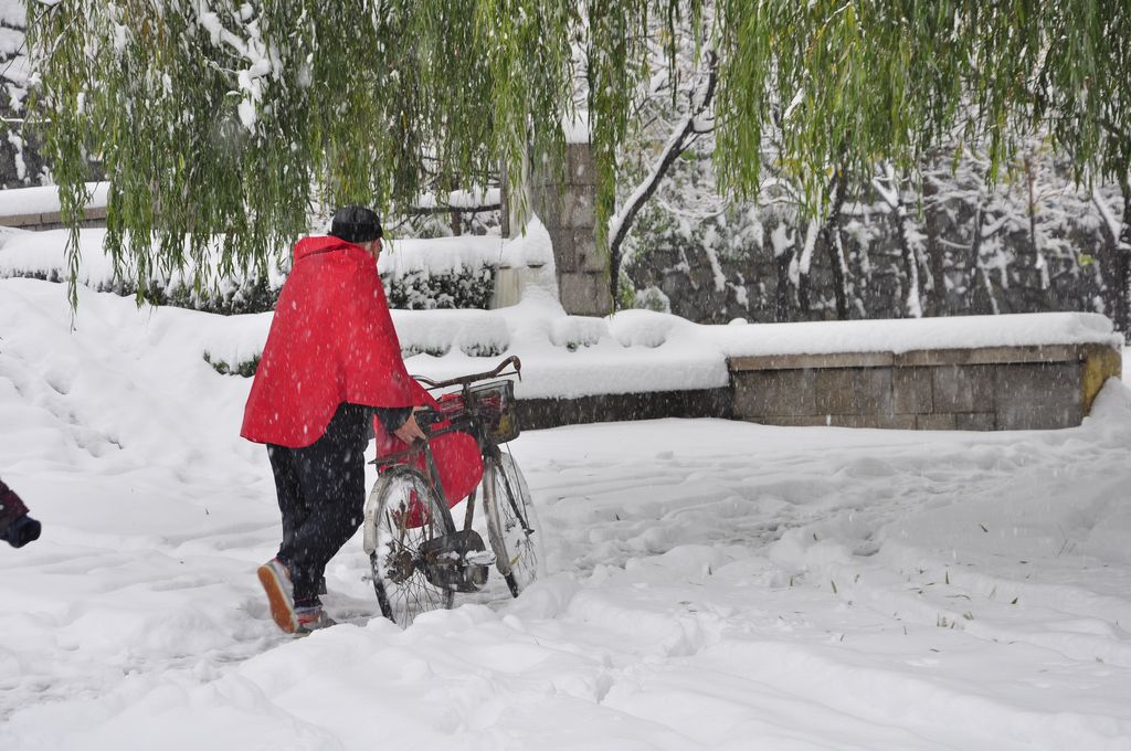 2015һѩ (231).jpg