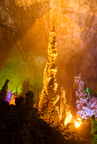 DSC01800_.jpg