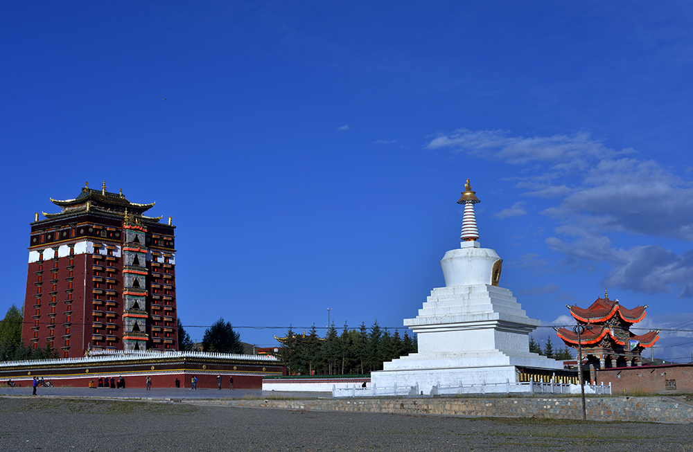 DSC_8892.JPG
